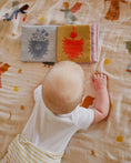 Load image into Gallery viewer, Baby's First Devotional Crinkle Book
